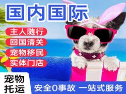 巴彦淖尔天吉泰机场物流国际宠物托运 【国